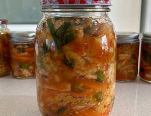 Tangy Fermented Kimchi