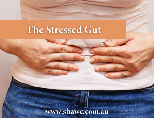 The Stressed Gut