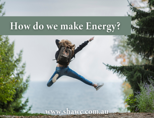 How do we make energy?